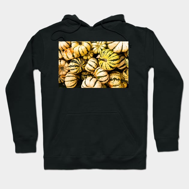 Squash Hoodie by thadz